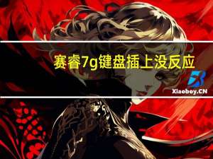 赛睿7g键盘插上没反应（赛睿7g）