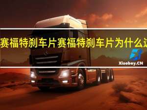 赛福特刹车片 赛福特刹车片为什么这么贵