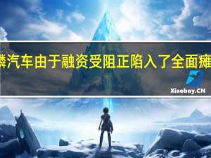 赛麟汽车由于融资受阻正陷入了全面瘫痪的状态