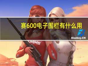 赛600电子围栏有什么用