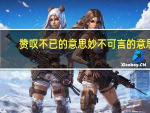 赞叹不已的意思妙不可言的意思（妙不可言的意思）