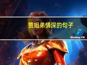 赞姐弟情深的句子