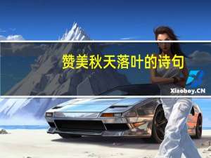 赞美秋天落叶的诗句