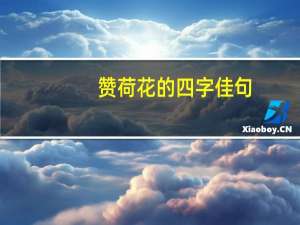 赞荷花的四字佳句