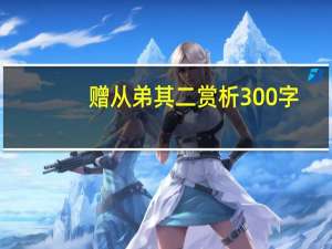赠从弟其二赏析300字（赠从弟其二赏析）