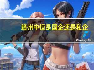 赣州中恒是国企还是私企