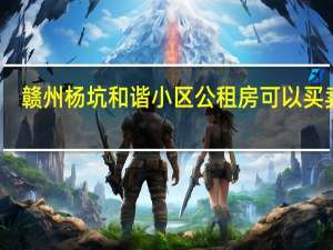 赣州杨坑和谐小区公租房可以买卖吗