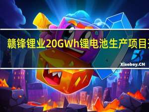 赣锋锂业20GWh锂电池生产项目开工