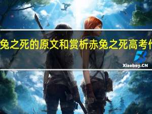 赤兔之死的原文和赏析 赤兔之死高考作文原文