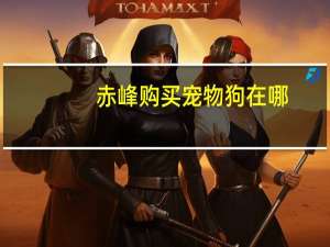 赤峰购买宠物狗在哪