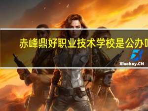 赤峰鼎好职业技术学校是公办吗