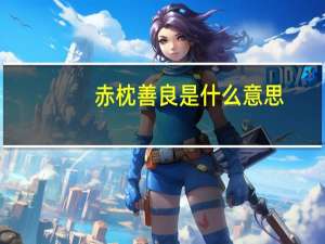 赤枕善良是什么意思