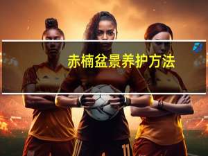 赤楠盆景养护方法