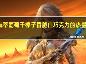 赫蒂 葡萄干榛子香脆白巧克力的热量是多少