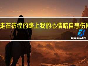 走在彷徨的路上我的心情暗自悲伤网红版（走在彷徨的路上我的心情暗自伤）