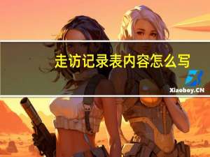 走访记录表内容怎么写