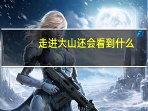 走进大山还会看到什么
