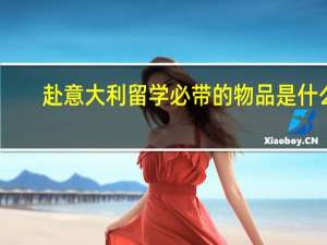 赴意大利留学必带的物品是什么