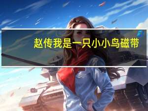 赵传我是一只小小鸟磁带（赵传我是一只小小鸟）