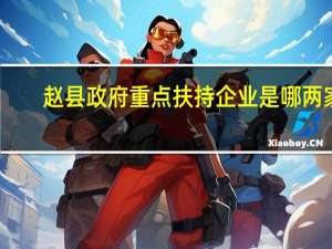 赵县政府重点扶持企业是哪两家