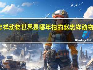 赵忠祥动物世界是哪年拍的 赵忠祥动物世界全集