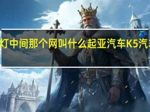 起亚k5雾灯中间那个网叫什么 起亚汽车K5汽车雾灯怎么调节