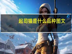起司猫是什么品种图文（起司猫是什么品种）