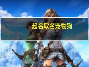 起名取名宠物狗