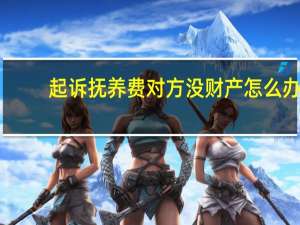起诉抚养费对方没财产怎么办
