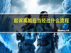 起诉离婚应当经过什么流程