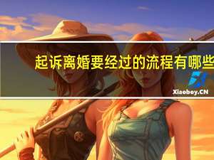 起诉离婚要经过的流程有哪些