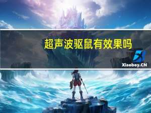 超声波驱鼠有效果吗