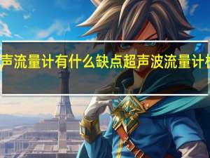 超声流量计有什么缺点 超声波流量计检测机构