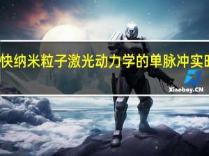 超快纳米粒子激光动力学的单脉冲实时十亿帧/秒平面成像