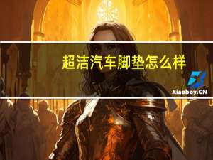 超洁汽车脚垫怎么样