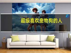 超级喜欢宠物狗的人