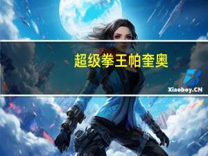 超级拳王帕奎奥（超级拳王2简介）