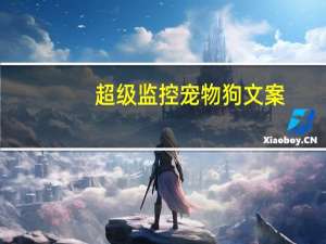 超级监控宠物狗文案