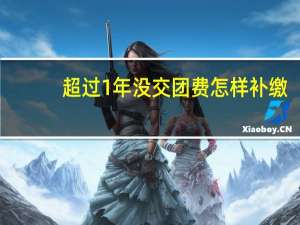 超过1年没交团费怎样补缴