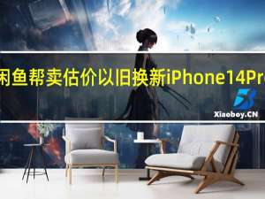 超200万人在闲鱼帮卖估价以旧换新iPhone14Pro Max置换占比最高