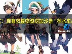 超6500人死亡！现有救援物资对加沙是“杯水车薪” 到底什么情况呢