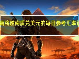 越南将越南盾兑美元的每日参考汇率设定为24,107
