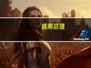 越南总理：希望Meta为越方提供更多技术转让推动越南数字化转型