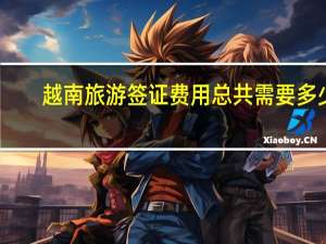 越南旅游签证费用总共需要多少