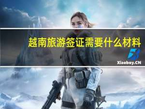 越南旅游签证需要什么材料