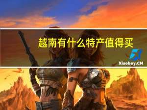 越南有什么特产值得买