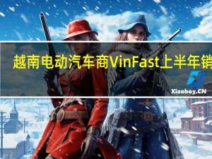 越南电动汽车商VinFast上半年销量1.13万辆超半数出售给关联方