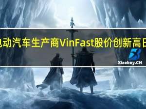 越南电动汽车生产商VinFast股价创新高日内涨幅120%