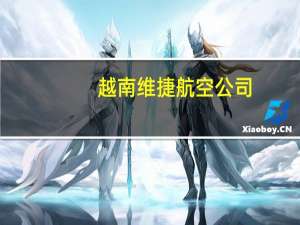 越南维捷航空公司：明年将交付最多12架波音737 MAX飞机