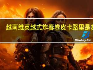 越南维英 越式炸春卷皮卡路里是多少